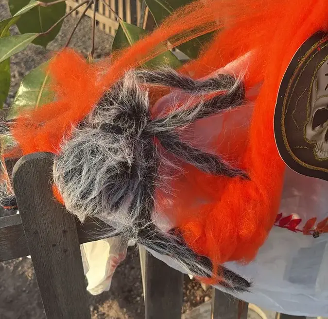 Halloween Urbanizacion Costa Sur 2025 24