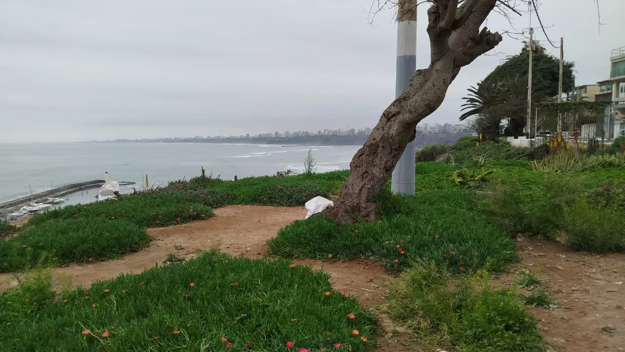 Agradecimiento a Rolo por el riego y limpieza del malecón
