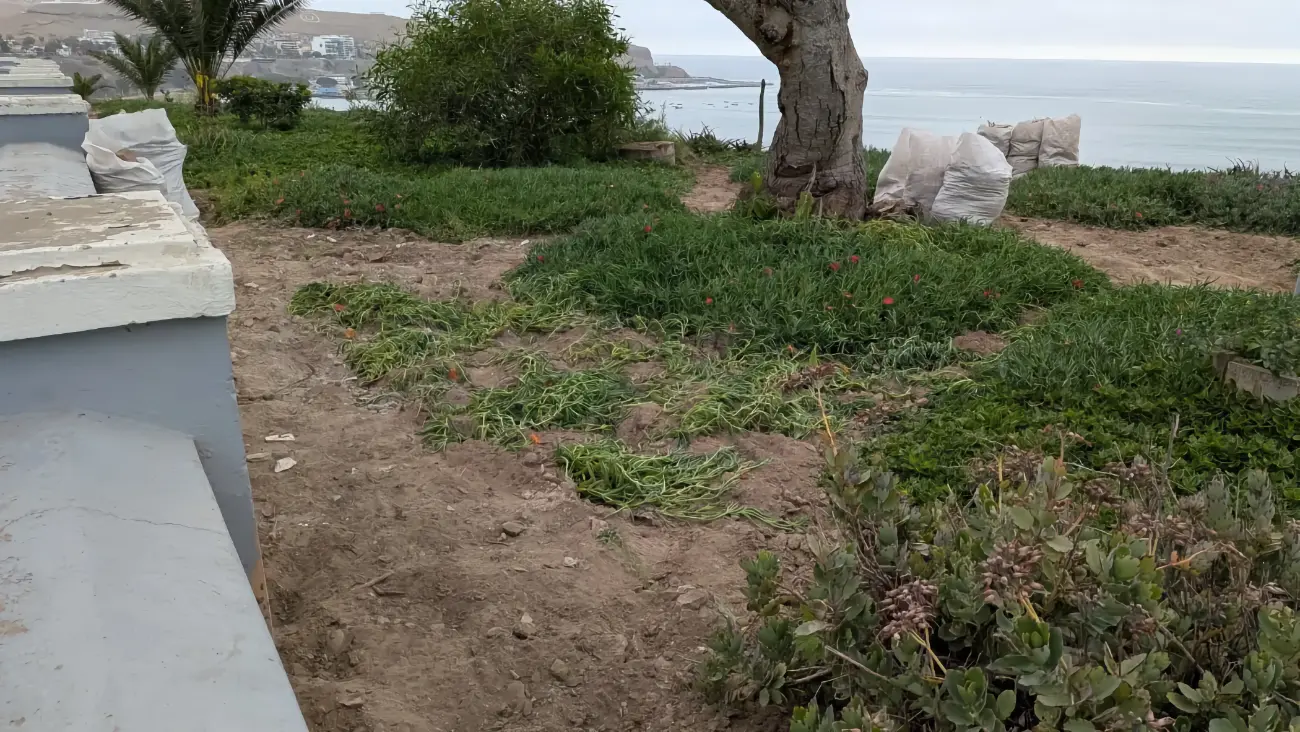 Vecinos se unen para mejorar los jardines y áreas verdes de nuestra urbanización