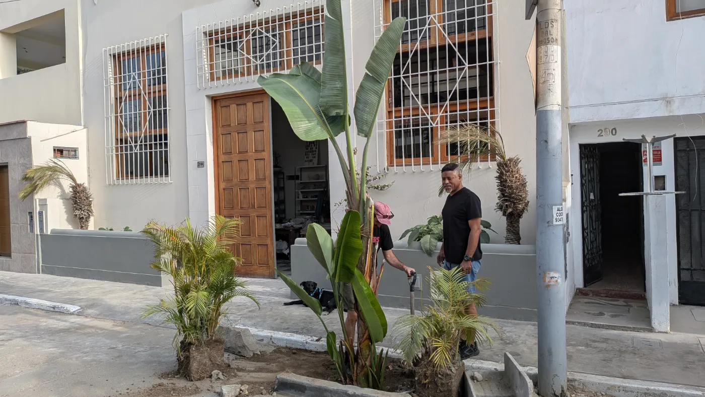Un nuevo árbol para nuestra comunidad: siembra de un palmera frente al Taller de Cerámica Greda