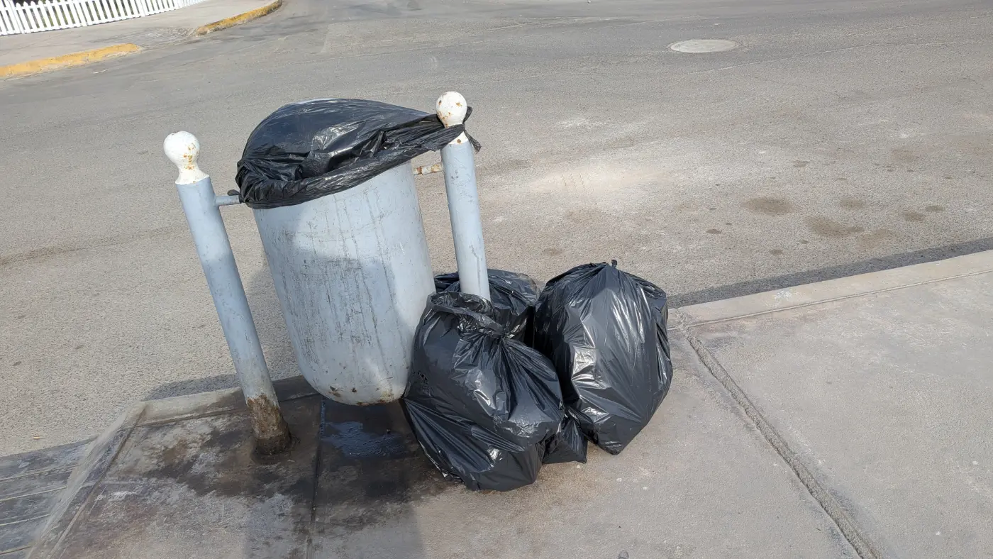 Limpieza del Malecón y Áreas Verdes: Compromiso Vecinal para Mantener Nuestro Parque en Óptimas Condiciones